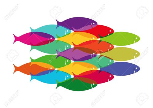 school of fish 